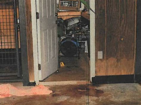 paul murdaugh crime scene photo|Photo Gallery: See evidence photos from Alex Murdaughs。